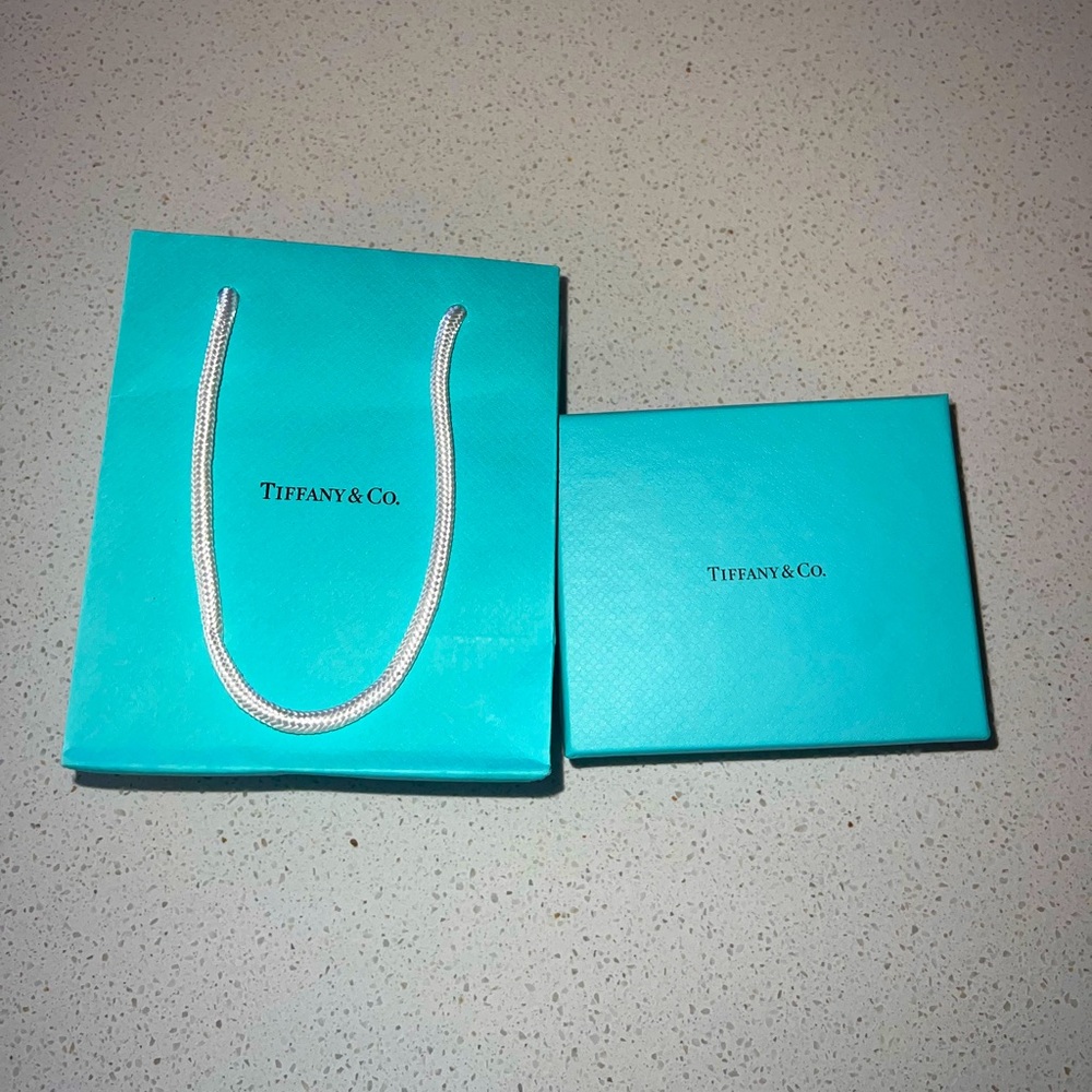 Tiffany & Co Small Bag and Box